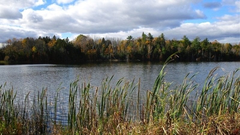 Act Now: Safeguard the Oak Ridges Moraine – Oppose the LTC Facility at Mary Lake