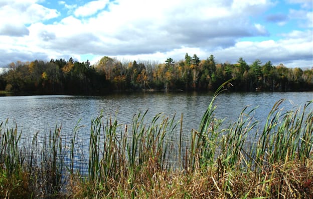 October 2024 Newsletter
